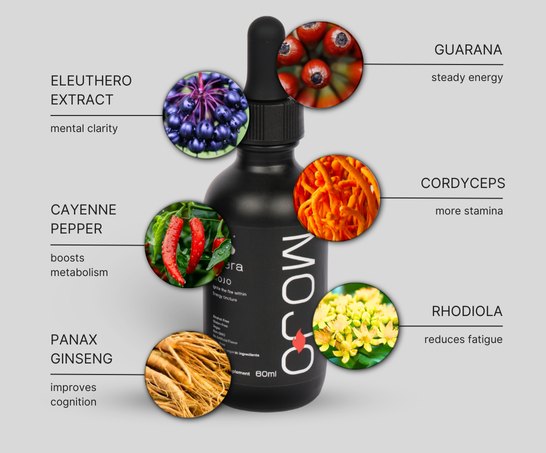 Vision Mojo Bundle (30% Life Time Discount)