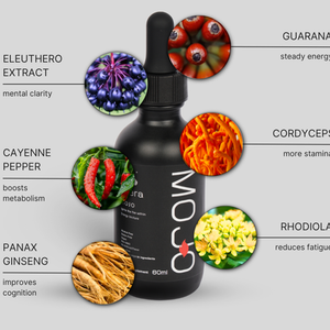 Vision Mojo Bundle (30% Life Time Discount)