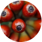 Screenshot 2025-02-16 at 22.41.25